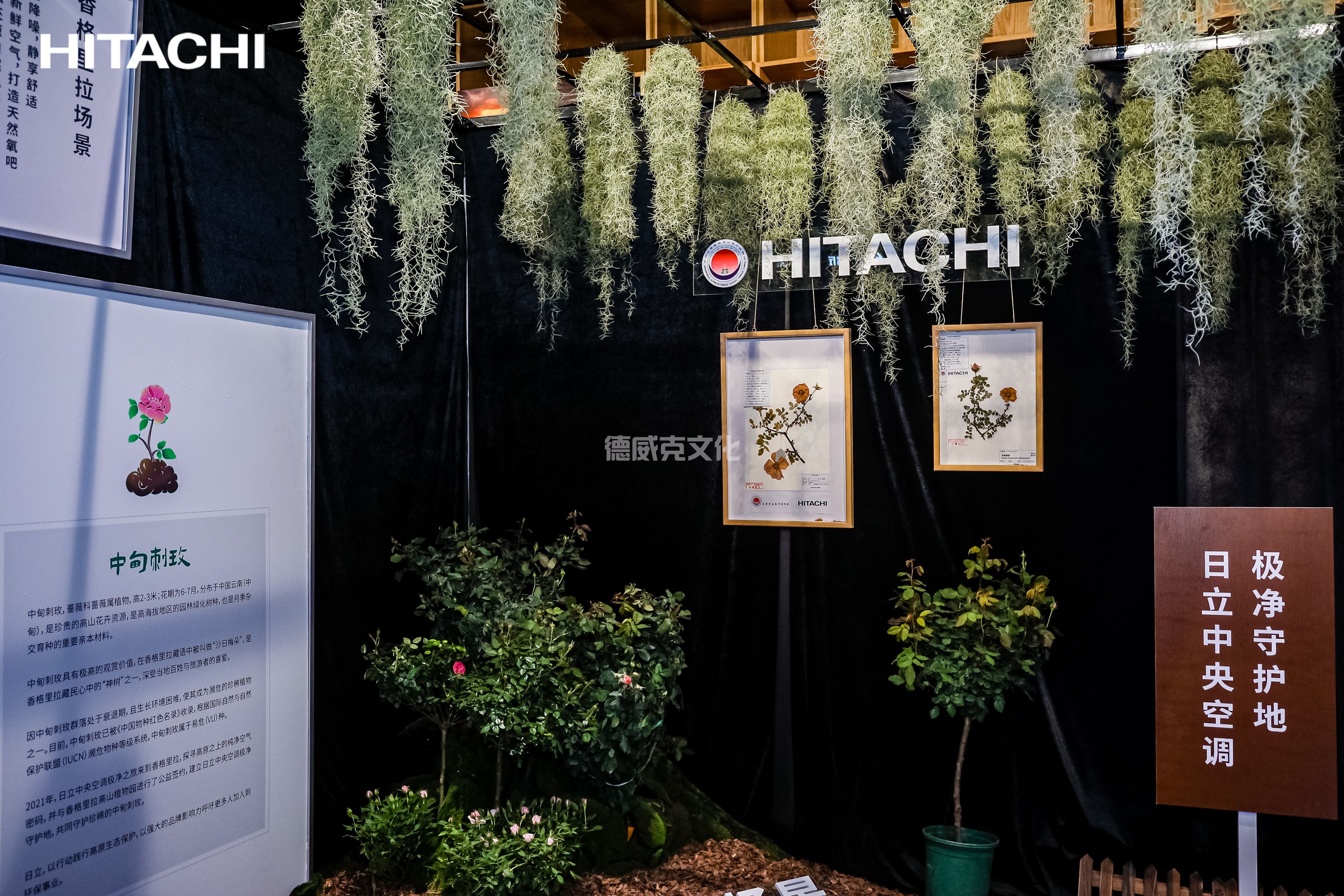 日立中央空调(图8)